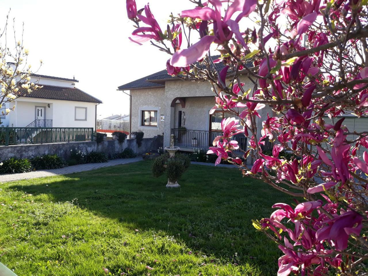 Cynda'S Home Viseu Esterno foto